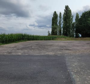 Balade tranquille dans la forêt à Villers en Arthies - Villers-en-Arthies - 4