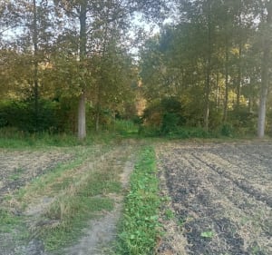 Balade dans la campagne de Vred Flines et Lallaing - Arnaud - 4