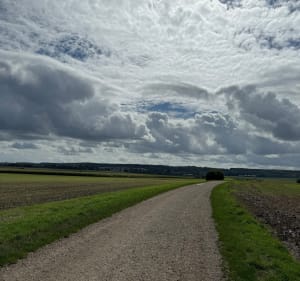 À travers Fontenay, Bailly, Noisy-le-Roi et Rennemoulin - Fontenay-le-Fleury - 4