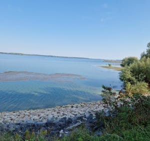 Tour du lac d'Orient - Vaudes - 3