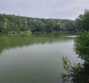 Randonnée en forêt de Carnelle - Presles - 3