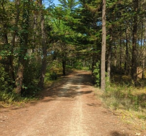 Sentier des cabanes à Saint-Jean-de-Monts - Saint-Jean-de-Monts - 3
