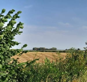 Sortie à Saint-Martin-Les-Tatinghem - Saint-Omer - 3