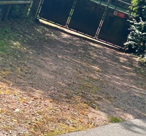 Bois de Saint Cyr - Valorbiquet - 4