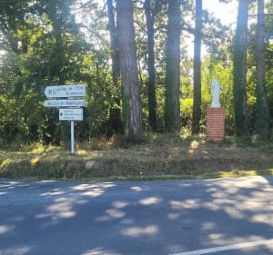 Autour de l'Yon - Nesmy - 4