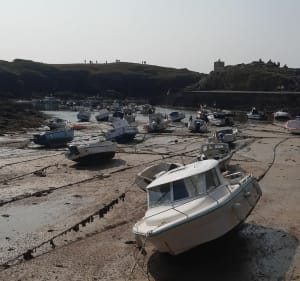 De Ker Chauvineau au Port de la Meule - L'Île-d'Yeu - 4