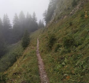 Tour de haute pointe et pointe de folly - Mieussy - 5