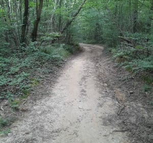 Balade à Chaponnay et Bois de Sarvanay - Chaponnay - 3