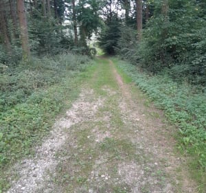 Balade à Chaponnay et Bois de Sarvanay - Chaponnay - 4
