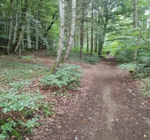 Balade du Maar de Beauloup - Orcines - 4