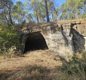 Bollène, les champignonnières et le Lac Vert - Bollène - 3