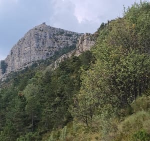 VTT vers l'Arpille - Saint-Auban - 3