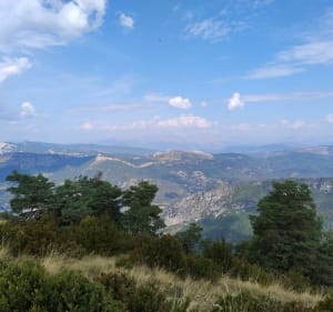 VTT vers l'Arpille - Saint-Auban - 4