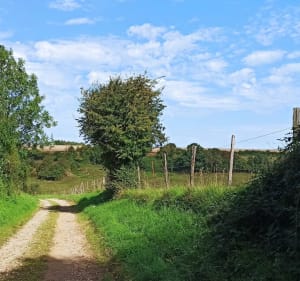 Boucle depuis Vaudringhem avec 80% de chemins - Vaudringhem - 3