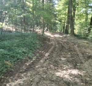 Promenade nature du côté d'Audeux - Placey - 3