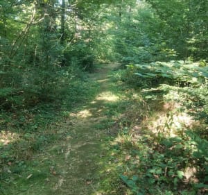 Promenade nature du côté d'Audeux - Placey - 5