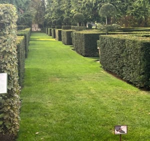 Eyrignac et ses jardins salignac - Salignac-Eyvigues - 4