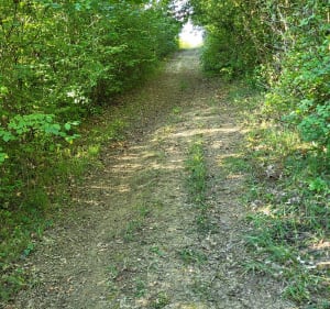 Le sentier de Mongardin par le Prussien - Saint-Médard - 4