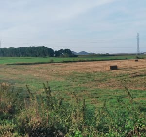 Marche au départ du centre-ville de Haisnes - Haisnes - 3