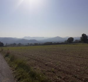 Entre Layoûte et Saint-Vincent - Lavoûte-sur-Loire - 3