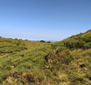 Du Col de Serre au Puy de Niermont - Le Claux - 4