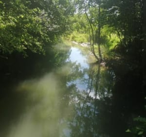 Boubers sur Canche - sentier de la fontaine - Boubers-sur-Canche - 4