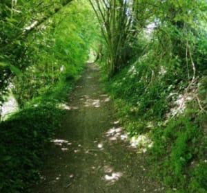 Boubers sur Canche - sentier de la fontaine - Boubers-sur-Canche - 5