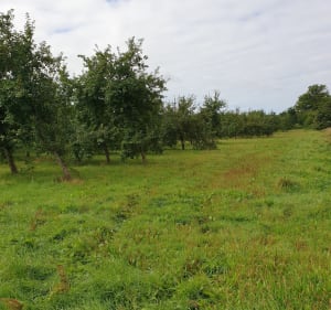 Boucle de Parigny - Grandparigny - 4