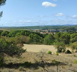 Boucle du Moulin de Villegly - Villegly - 4