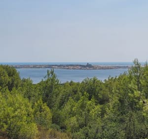 Tour de l'étang de Gruissan et Capoulade - Gruissan - 3