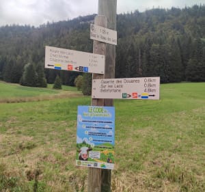 Tour des lacs à Chapelle-des-bois - Chapelle-des-Bois - 4