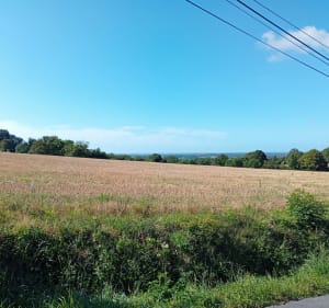 Balade du bourg à la Traversière - Sèvremont - 4