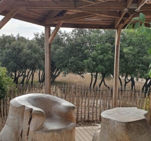 Boucle au Bois des Espesses - Nîmes - 4