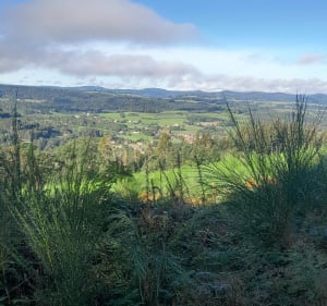 En passant par les roches - Anould - 3