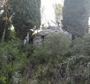 Aubais : Colline des Olivettes oubliées - Aubais - 4