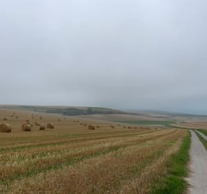 Autour du Cap Blanc Nez - Escalles - 4