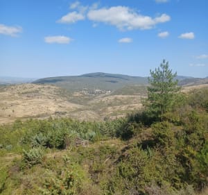 Dans le massif entourant le lac de la Cavayère. - Carcassonne - 3