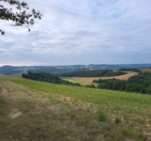 PR 10 - Les Coteaux d'Arcagnac - Haulies - 4