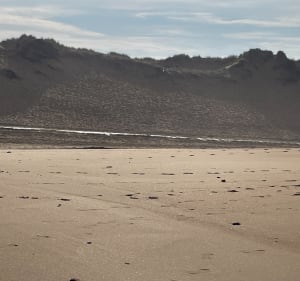 Balade  forestière et plage à Olonne - Les Sables-d'Olonne - 3
