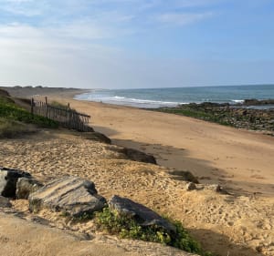 Balade  forestière et plage à Olonne - Les Sables-d'Olonne - 5