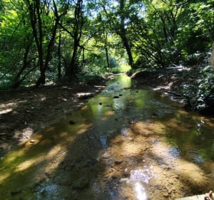 Rando sur les coteaux d'Auboué - Moineville - 3