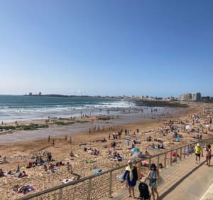 De la campagne au littoral aux Sables-d'Olonne - Les Sables-d'Olonne - 5