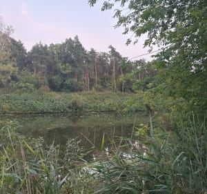 Przechadzka wzdłuż Kanału Żerańskiego - Warszawa - 4
