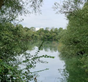Canal Haute Seine entre Saint-Lyé et Barberey - Saint-Lyé - 3
