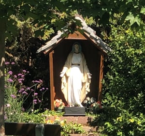 Balade vers la chapelle de Hattisheim - Geispolsheim - 5
