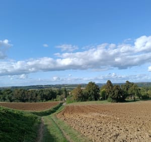 Circuit du Furet au départ de Perville - Perville - 3
