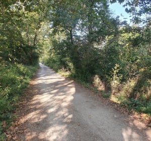 De Saint-Laurent-de-Mure à Lyon par les berges du Rhône - Saint-Laurent-de-Mure - 5