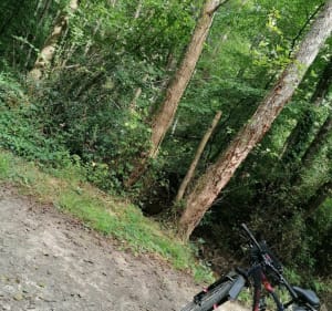 Sortie vélo Départ du Camping Les Pins Parasols - Floriane - 5