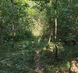 Caussade- Monteils au fil de la Lère - Caussade - 3