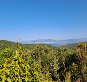 Boucle entre Accelasca et Sant'Amanza - Pietrosella - 5